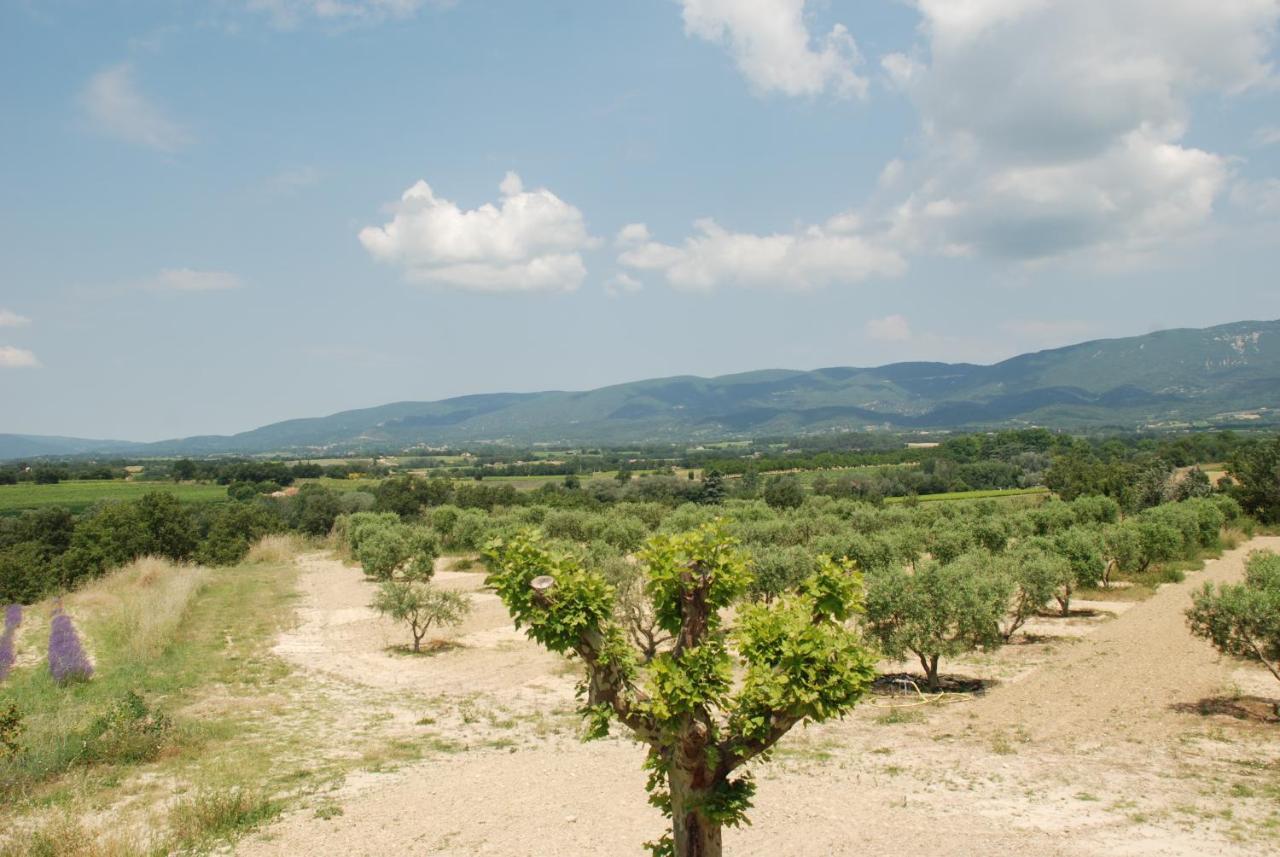 Bastide Saint Maurin Bed and Breakfast Ansouis Buitenkant foto